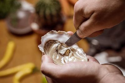 "지금이 제철인데" 이것 먹고 또 설사...공포의 노로바이러스